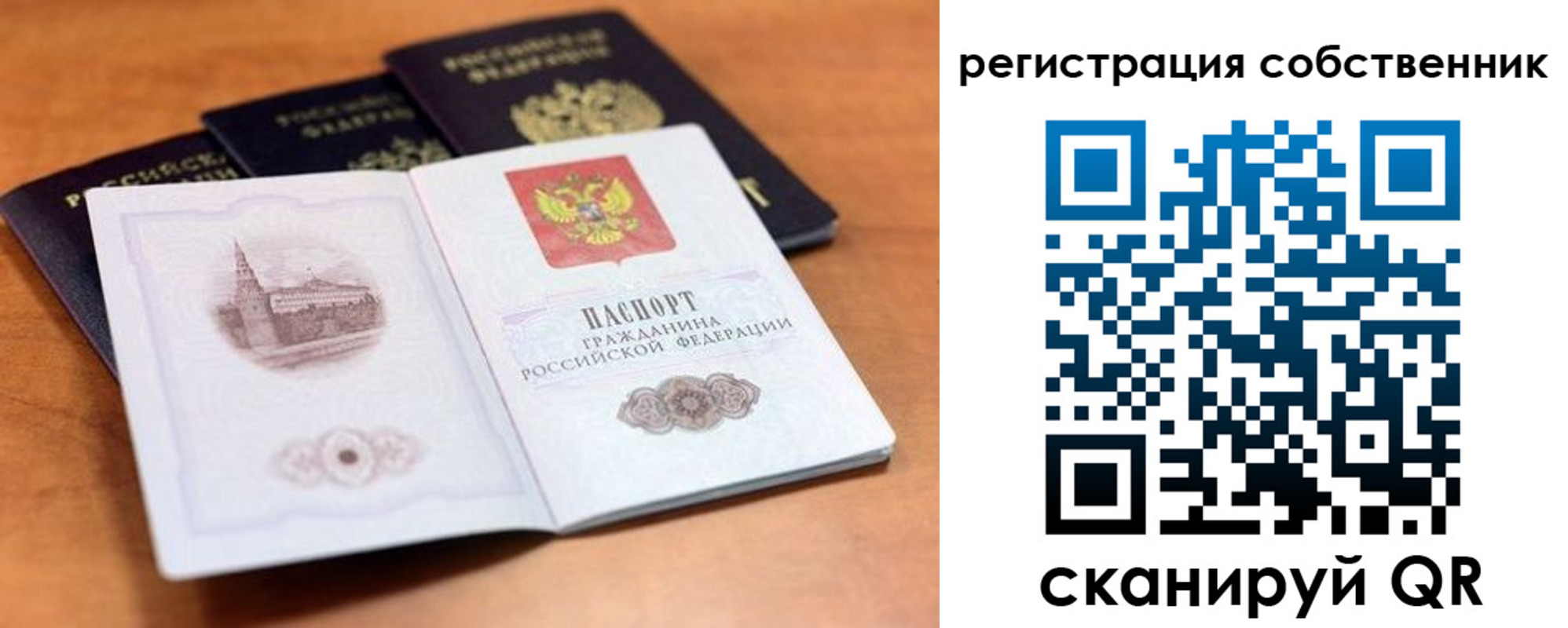 прописка поиск в Йошкар-Оле